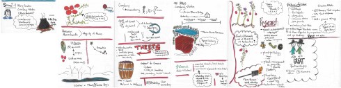 Agriculture_B_Sketchnotes