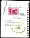 SciBoot Sketchnotes_Page_18