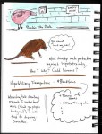 SciBoot Sketchnotes_Page_26