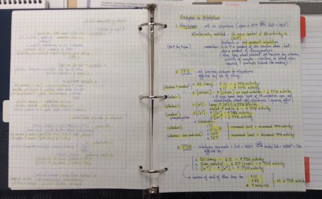 My highlighted, coffee-stained notebook from that year of hard study. Despite the years, I've never been able to throw it out.